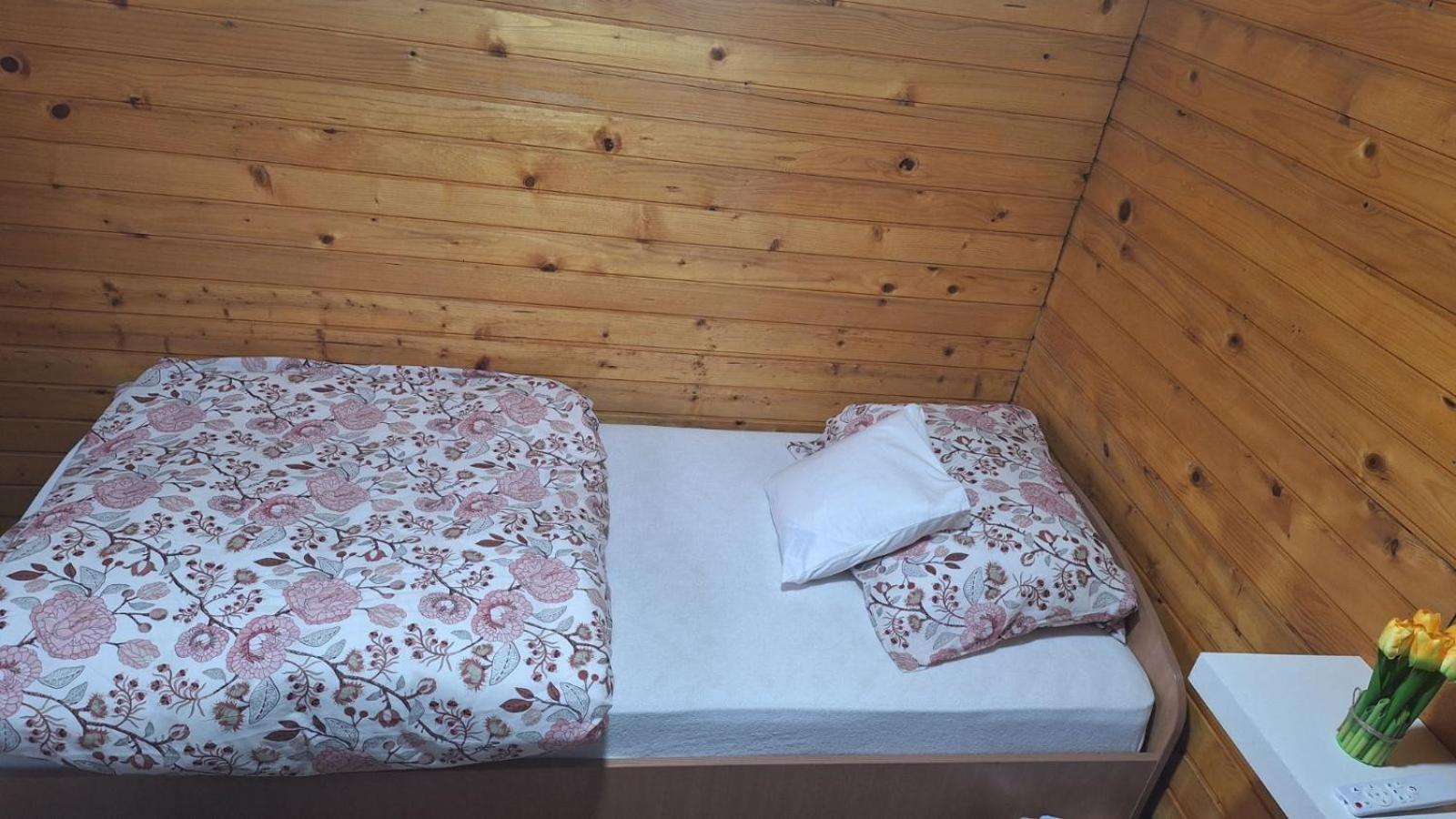 Villa Wooden House Ada Belgrado Esterno foto
